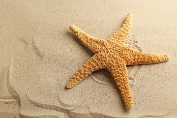 Fototapeta na wymiar Starfish on a beach sand