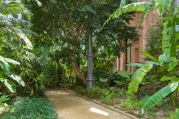 Tropical greenhouse, the Umbracle is a wood brick construction for tropical plants in the Citadel Park Barcelona. The Parc de la Ciutadella is situated in the Barcelona district Ciutat Vella