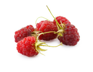 raspberries isolated on a white background