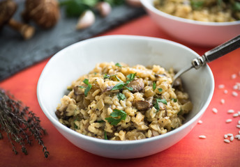 Mushroom Risotto