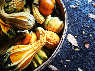 Colorful gourds in a basket