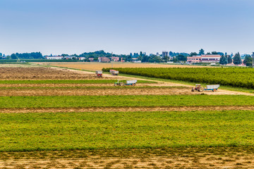 Obraz premium fields and farm equipment