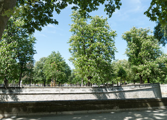 Fototapeta premium Jardins de la fontaine