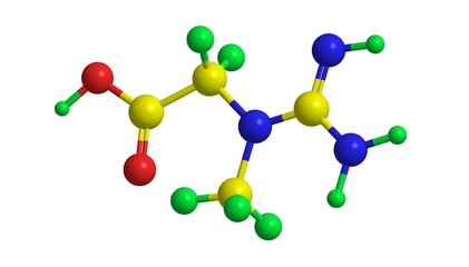 Molecular structure of creatin