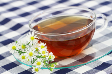 Cup of chamomile tea on checkered cloth with copy space
