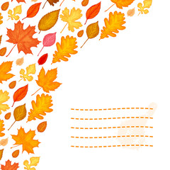 autumn leaves background