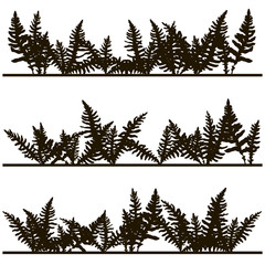 Set of ink drawing fern leaves © cat_arch_angel