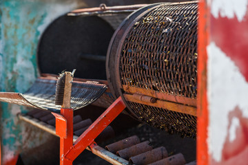 Chili Pepper Roaster