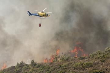 trágico incendio forestal con helicóptero apagando el fuego