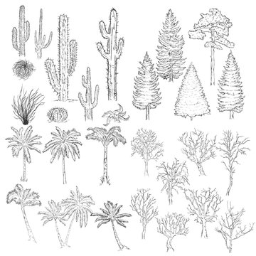 Vector Big Set of Sketch Trees and Plants.