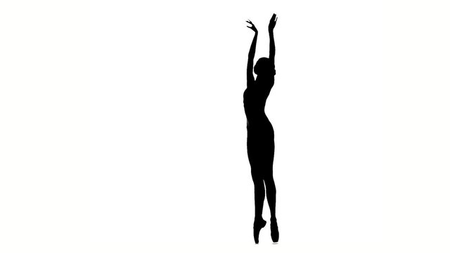 little ballerina girl posing on a white background. silhouette