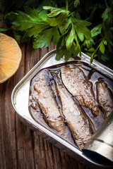 Sprats.