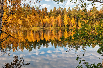 autumnal lake near the forest