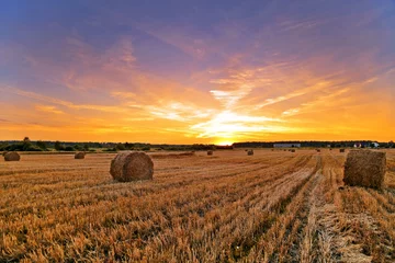 Tableaux ronds sur aluminium Été Field of freshly bales of hay in sunset