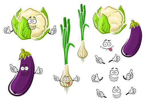 Cauliflower, onion and eggplant vegetables