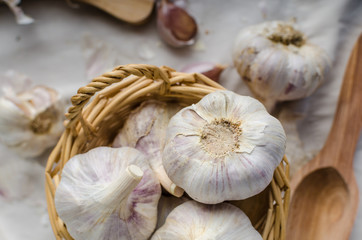 Domestic organic garlic