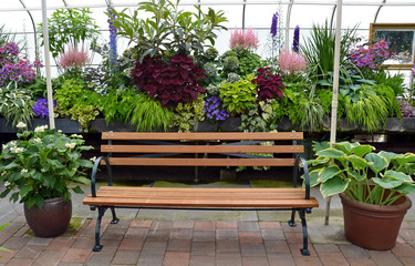 Greenhouse garden bench