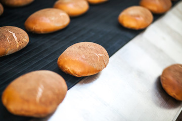 Baked Breads on the production line at the bakery