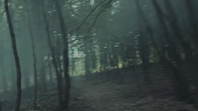 Chased through a foggy forest. POV shot.
