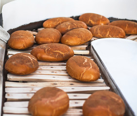 Baked Breads on the production line at the bakery