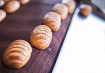 Baked Breads on the production line at the bakery