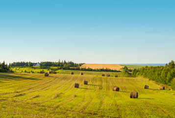 Scenic view of hay stacks on sunny day