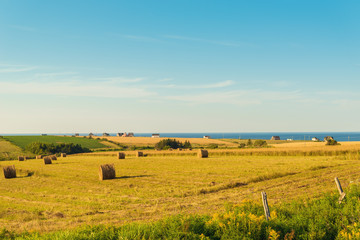 PEI rural scene
