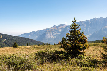 Dolomiti del Brenta