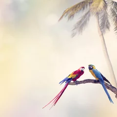 Foto op Canvas Two Parrots © SunnyS