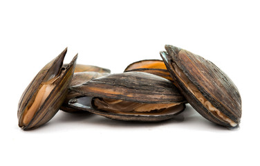 mussels
