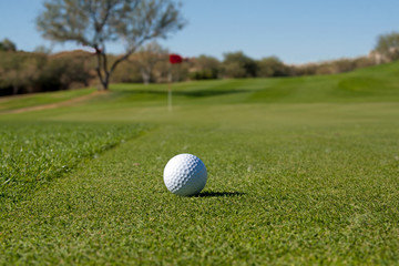 Golf Ball on Fairway 