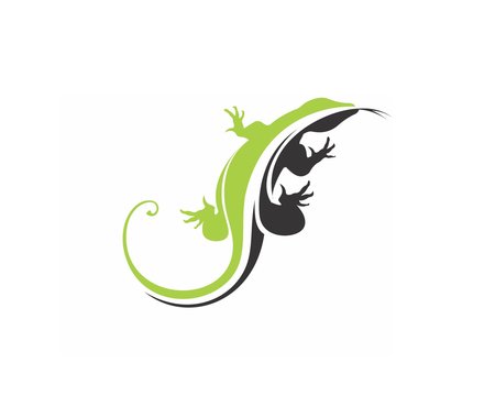 lizards 2 icon