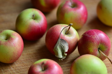 apples from his own garden