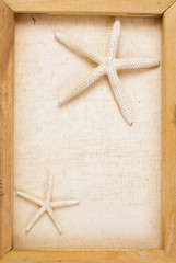 Vintage image of starfish on the canvas frame
