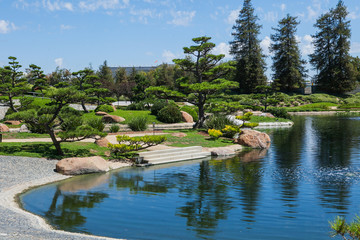 Obraz premium Beautiful japanese green park in summer time
