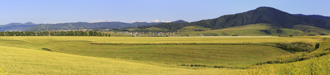 Fototapeta premium Beautiful panorama agricultural fields and the town of