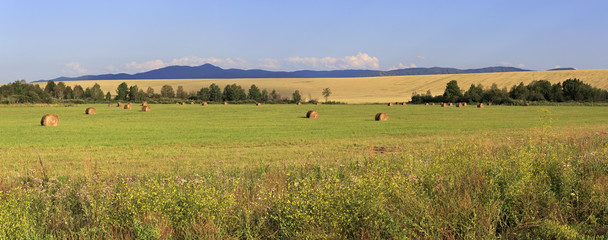 Obraz premium Beautiful panorama the sloping fields and haystacks.