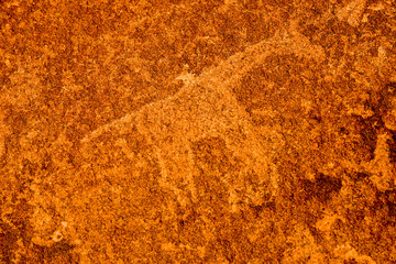 Bushman Rock Engravings - Namibia