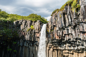 Beautiful waterfall Svartifoss with basalt columns.