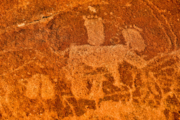 Bushman Rock Engravings - Namibia