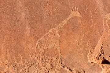 Bushman Rock Engravings - Namibia