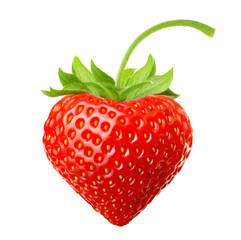Red berry strawberry