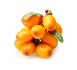 Sea buckthorn isolated 