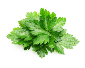 Parsley herb isolated