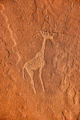 Bushman Rock Engravings - Namibia