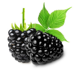 Blackberry isolated 