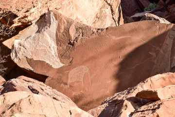 Bushman Rock Engravings - Namibia