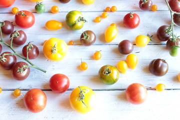 Naklejka na ściany i meble verschiedene alte Tomaten sorten holztisch