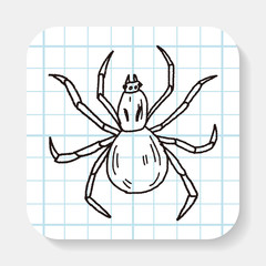 spider doodle