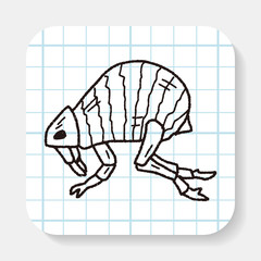 Flea doodle